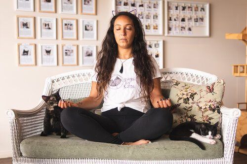 Meditation with Cats!