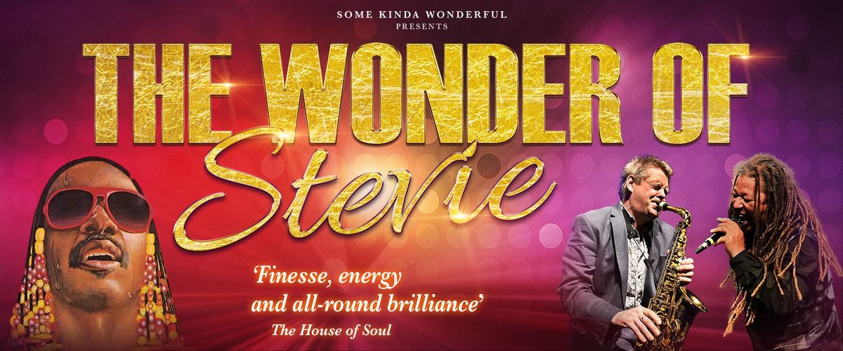 The Wonder of Stevie at Mecca Acocks Green, Birmingham