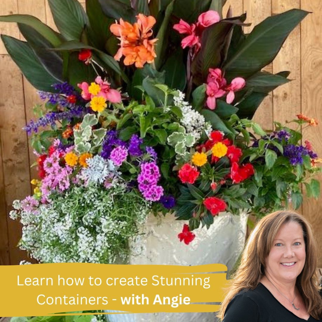 DIY Workshop: Create Stunning Containers