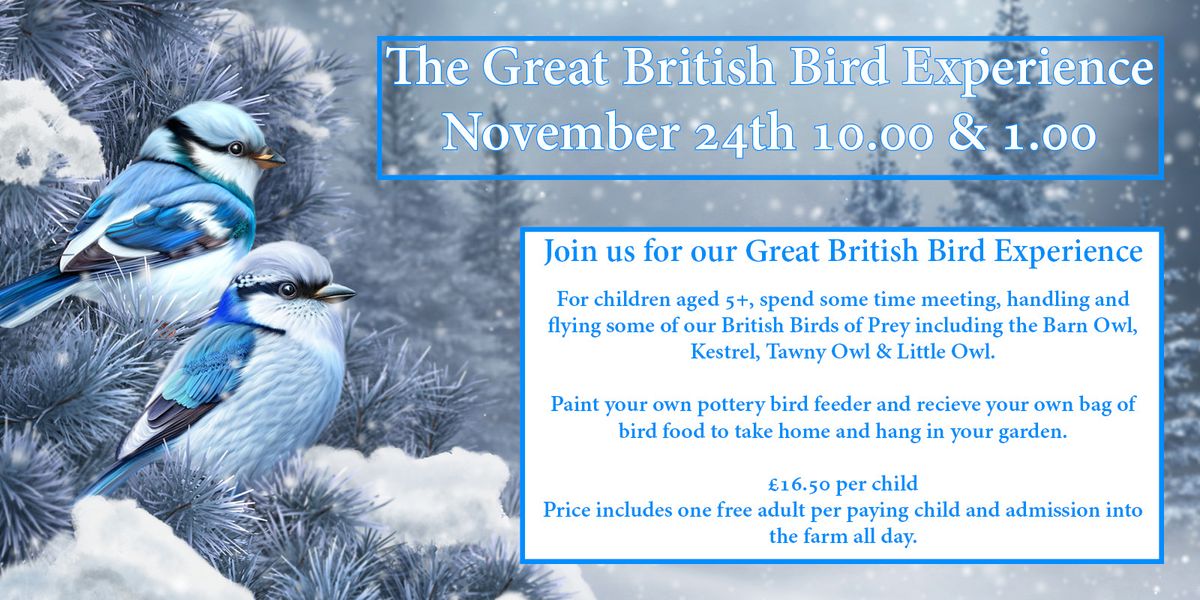 The Great British Bird Experience