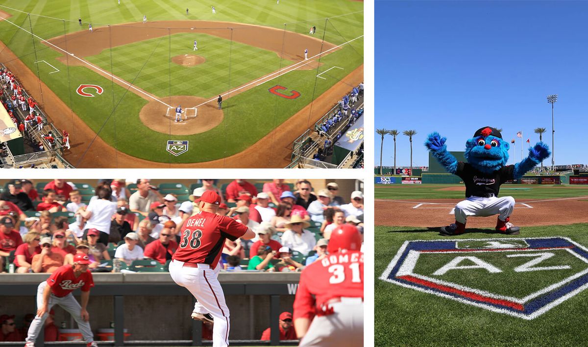 Spring Training - Chicago White Sox at Cincinnati Reds at Goodyear Ballpark