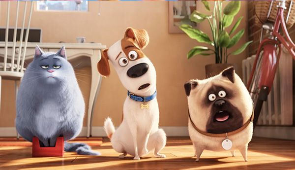 Summer Movies for Kids: Secret Life of Pets 