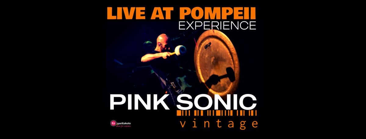 PINK SONIC Vintage | Live at Pompeii Experience