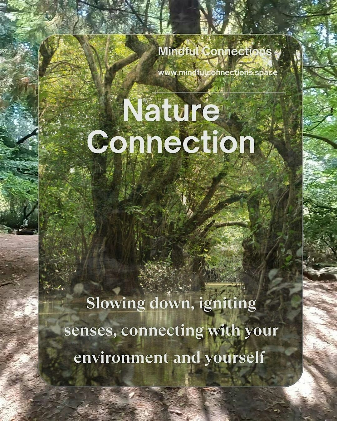 Nature Connection Day - Lincoln