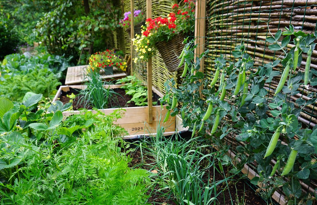 Compact Cultivation:  Innovative Methods for Small Space Gardening