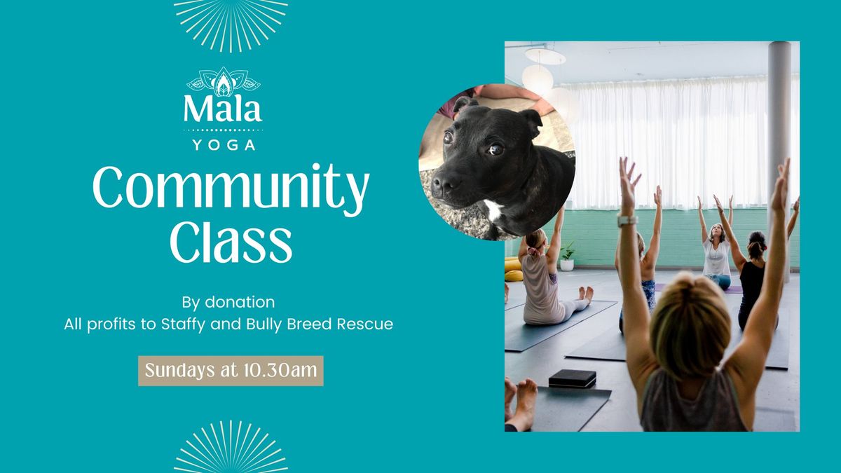 Yoga Community Class * BY DONATION*