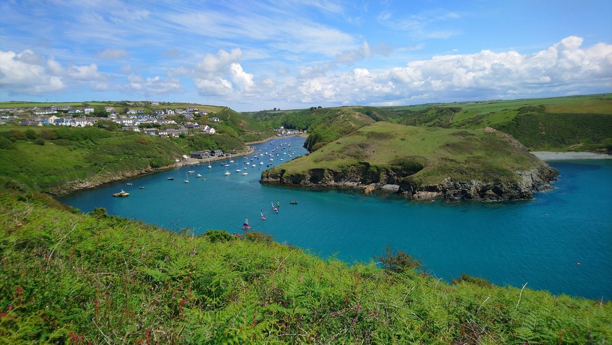 Solva Shopping Evening