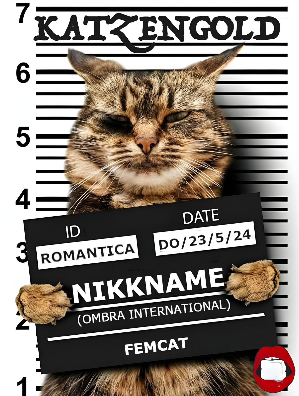 KATZENGOLD am DONNERSTAG miaut mit NIKKNAME (Ombra International) & Femcat