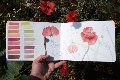Botanical Watercolor: Plein Air Plants