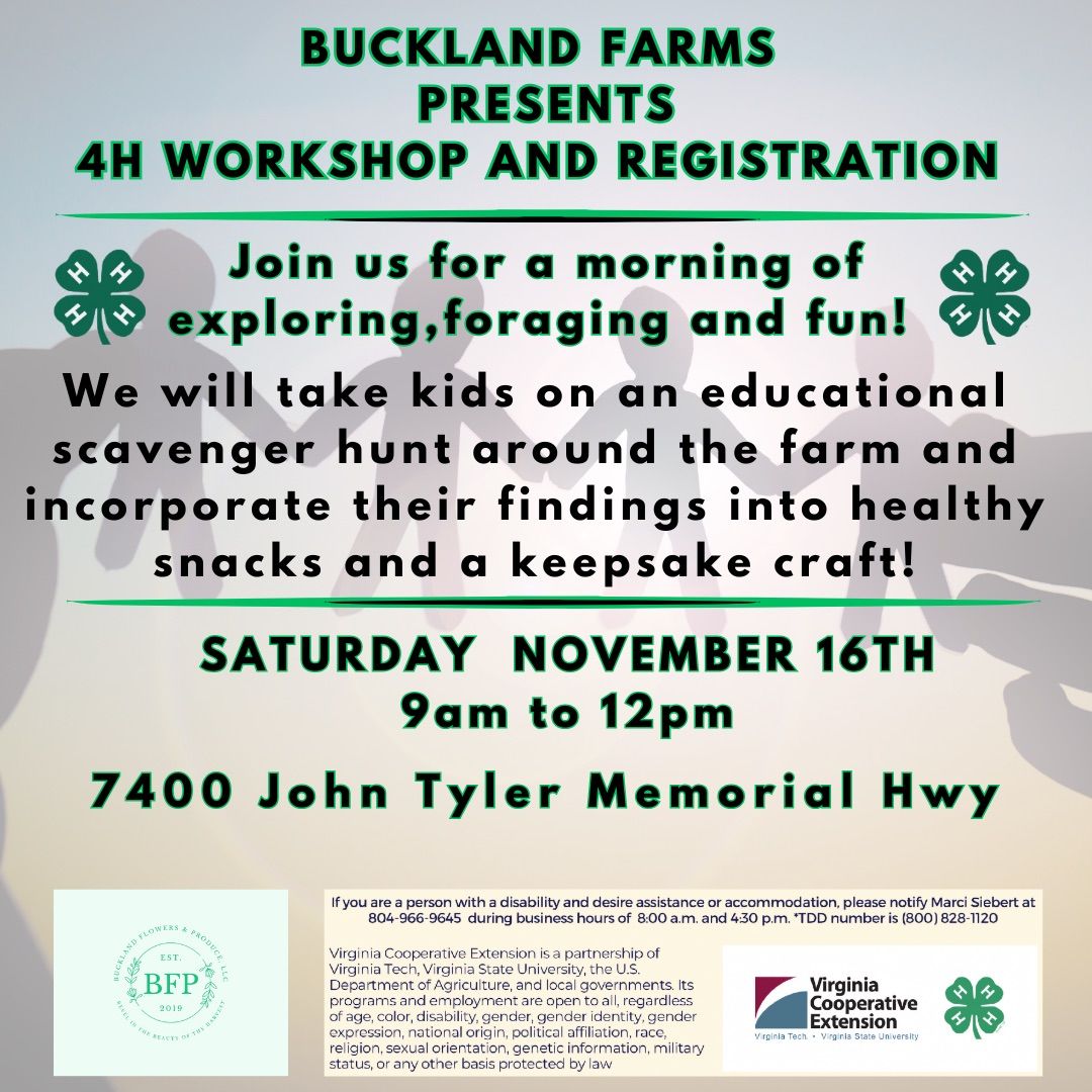 4-H Club Workshop