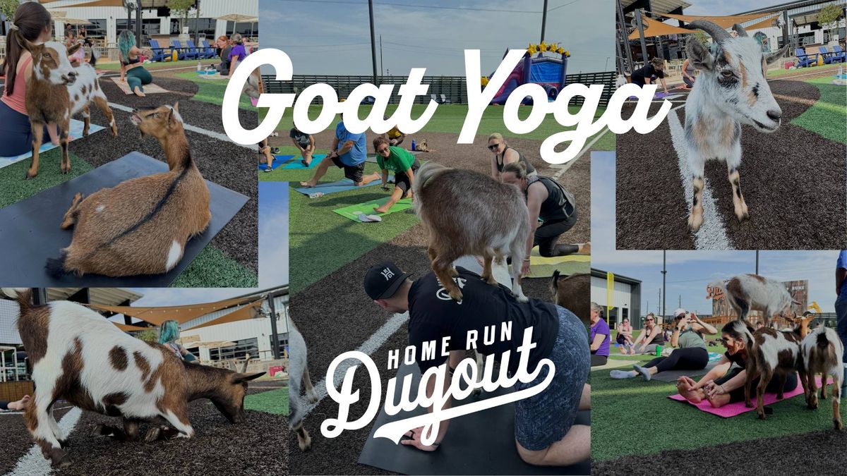 Goat Yoga at Home Run Dugout - Katy