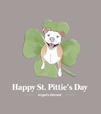 St. Pittie\u2019s Day Party - Adoption Event \ud83c\udf40\ud83d\udc3e