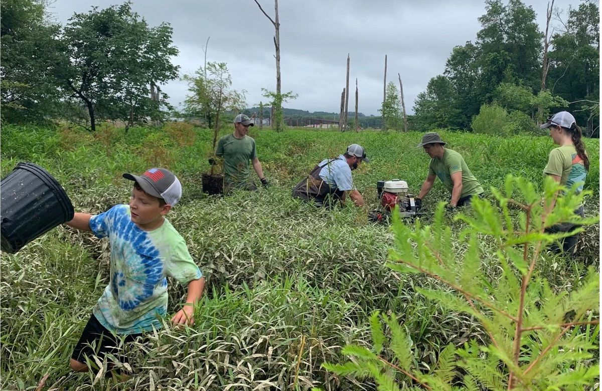 REFORESTATION OF NLR BURNS PARK WHITE OAK BAYOU