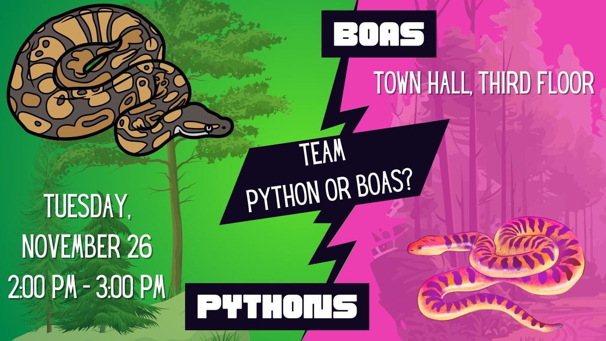 Pythons vs Boas