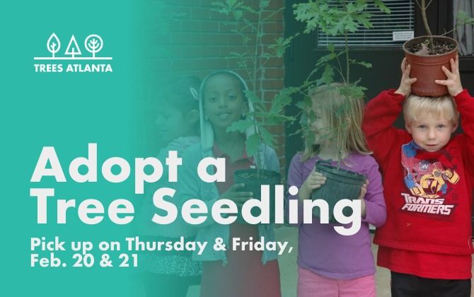 Georgia Arbor Day - Tree Seedling Adoption