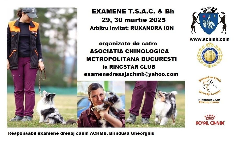 Examene T.S.A.C. si BH pe 29, 30.03.2025 Bucuresti