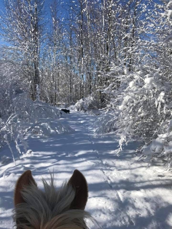 Winter Riding Clinic with Games!