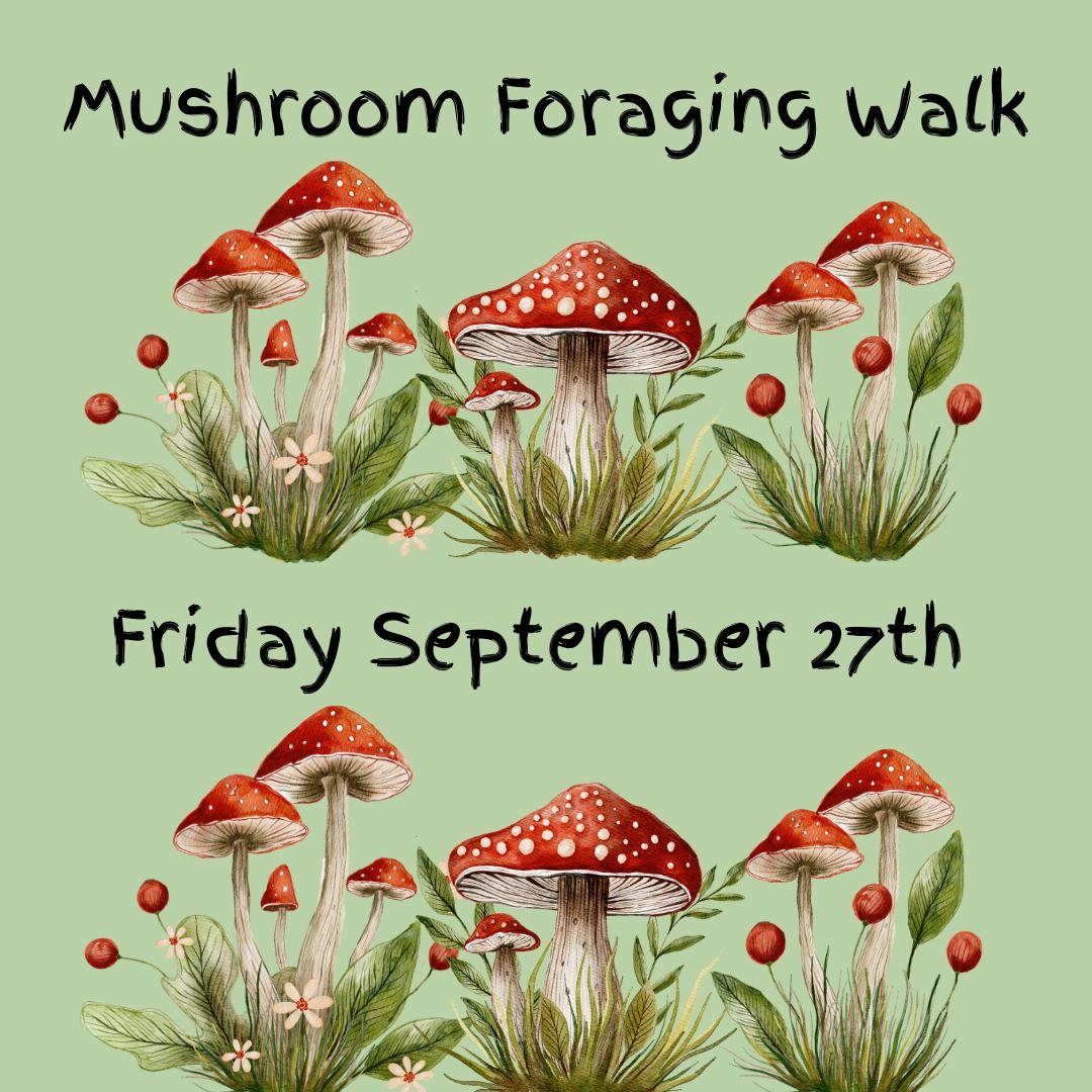 Mushroom Foraging Walk - NOW FULLY BOOKED