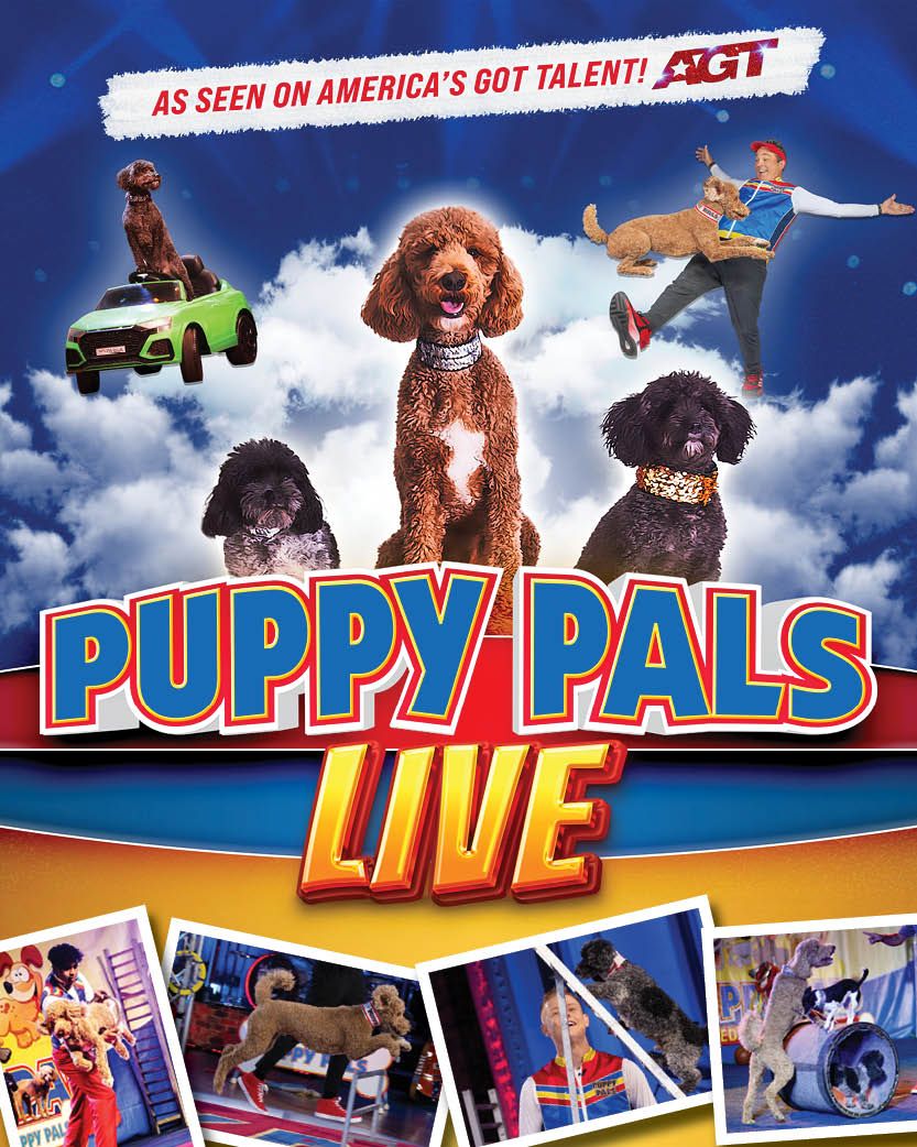 Puppy Pals Live