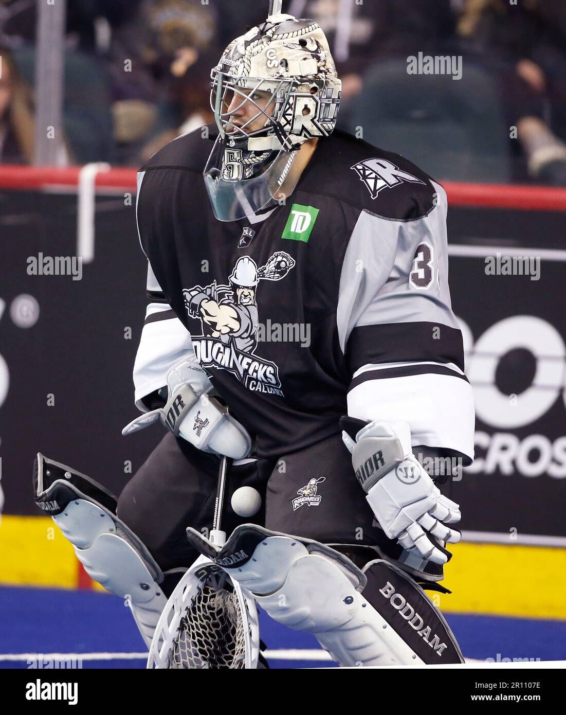 Las Vegas Desert Dogs at Calgary Roughnecks