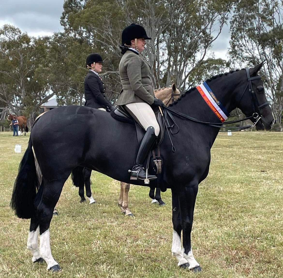 Horsham Horse Show