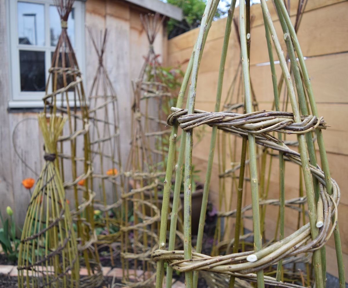 Make a Willow Plant Support