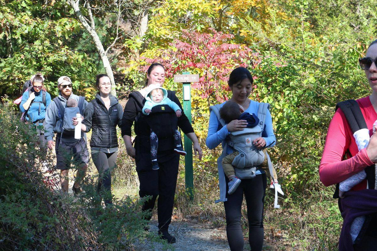Babes in the Woods Hike