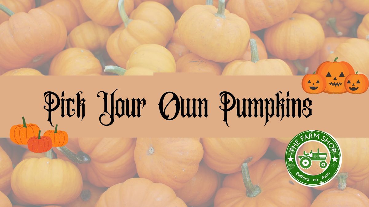 Pick Your Own Pumpkins