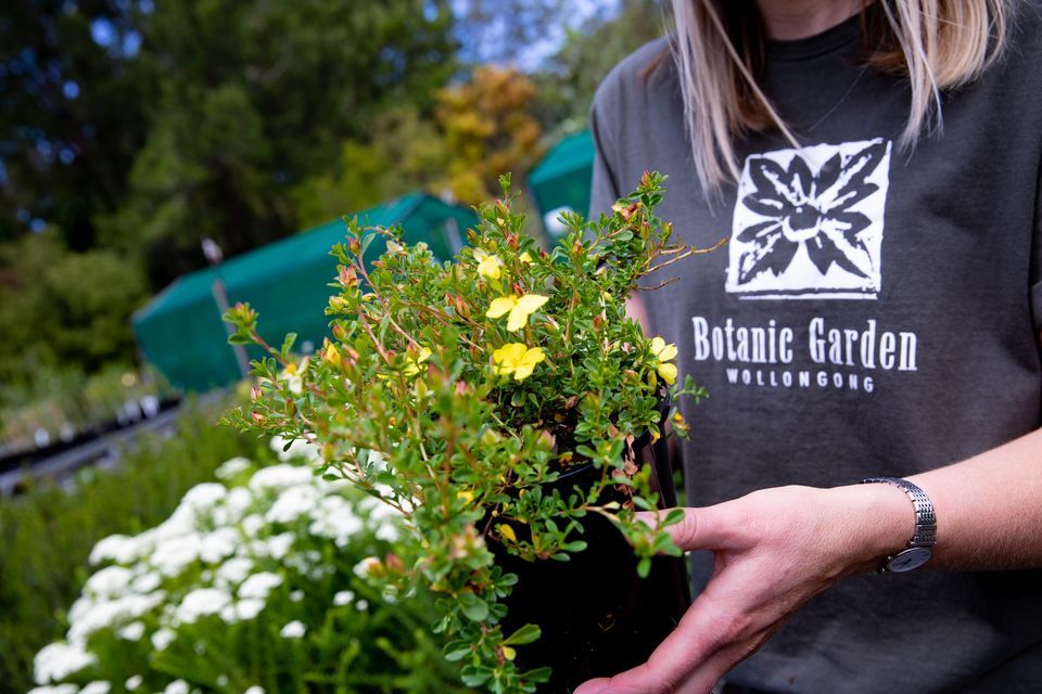 Native Plant Sale