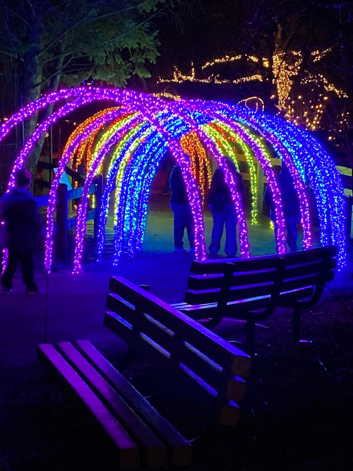 LGBTQ Syracuse Night at the Zoo