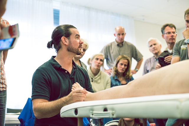 Anatomy Trains Structural Essentials: Head, Neck, and Jaw