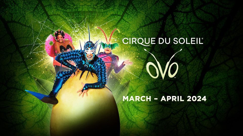 Cirque du Soleil: OVO