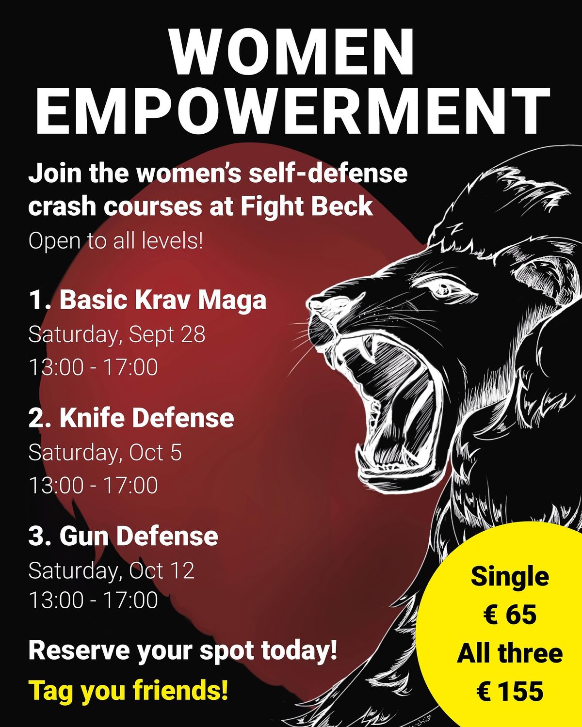 Basic Krav Maga for Women 