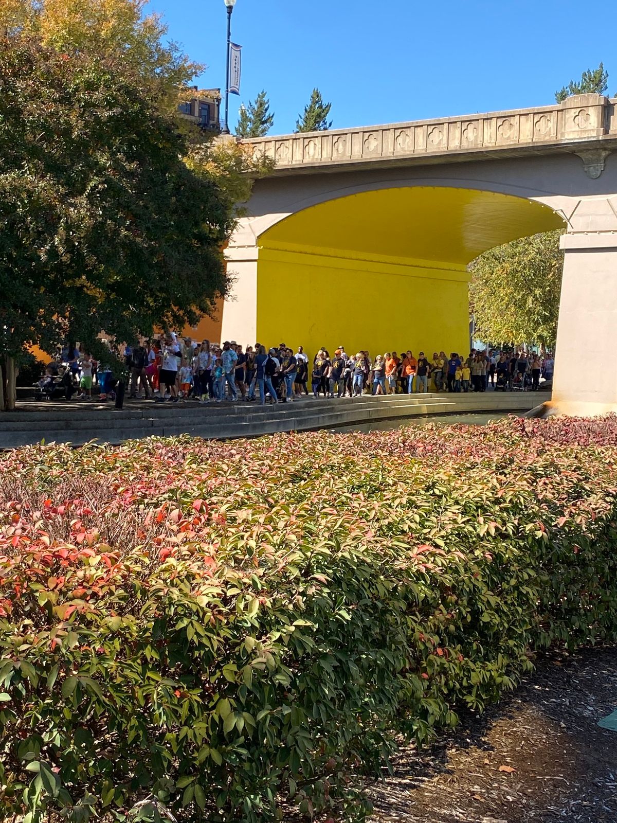 2024 Knoxville Buddy Walk 