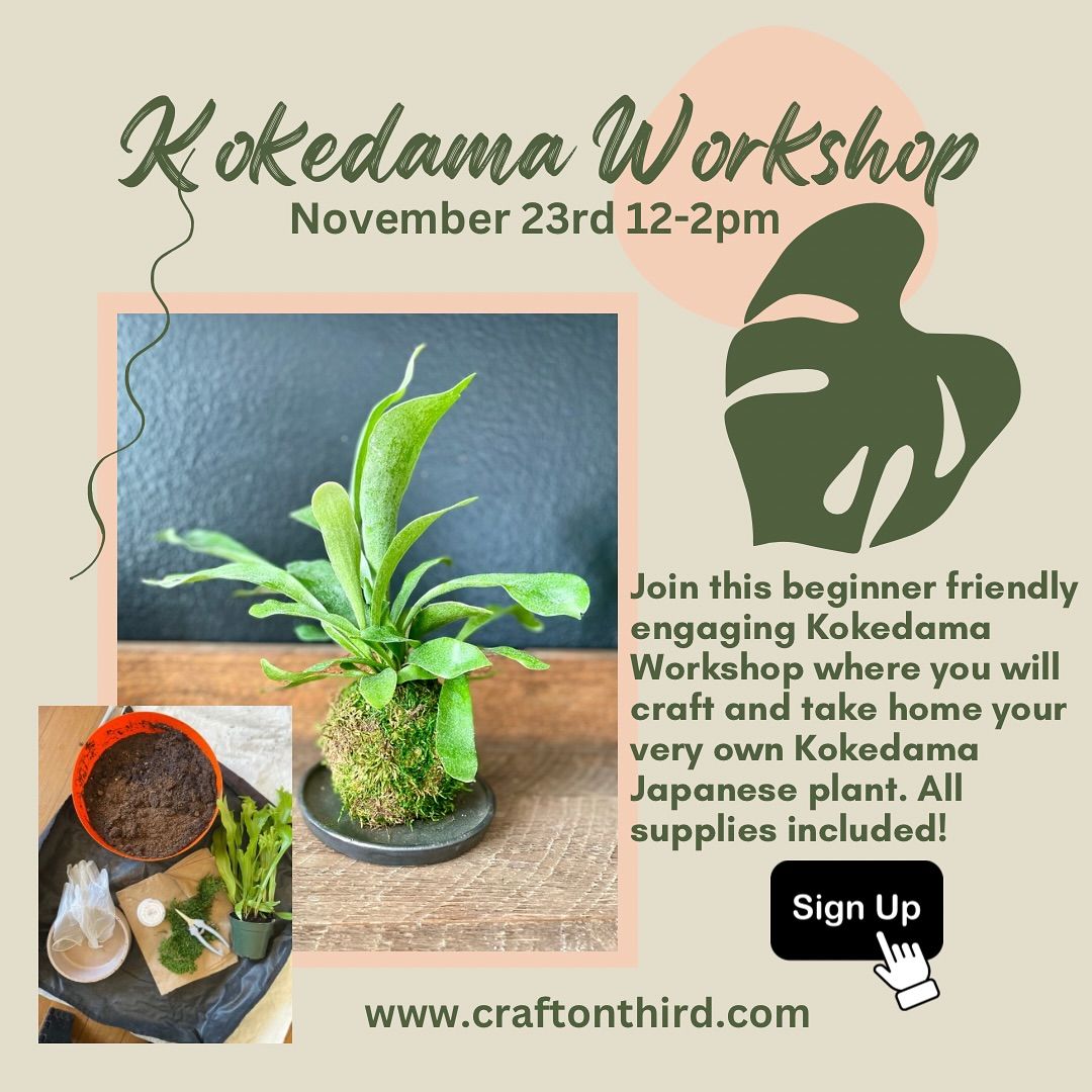 Kokedama Workshop 11\/23 at 12pm