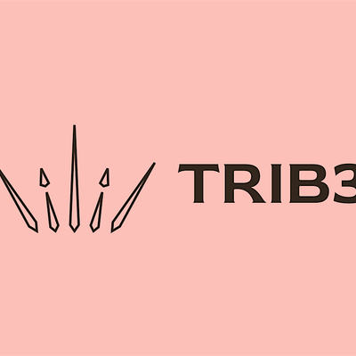 TRIB3 3LITE CORP
