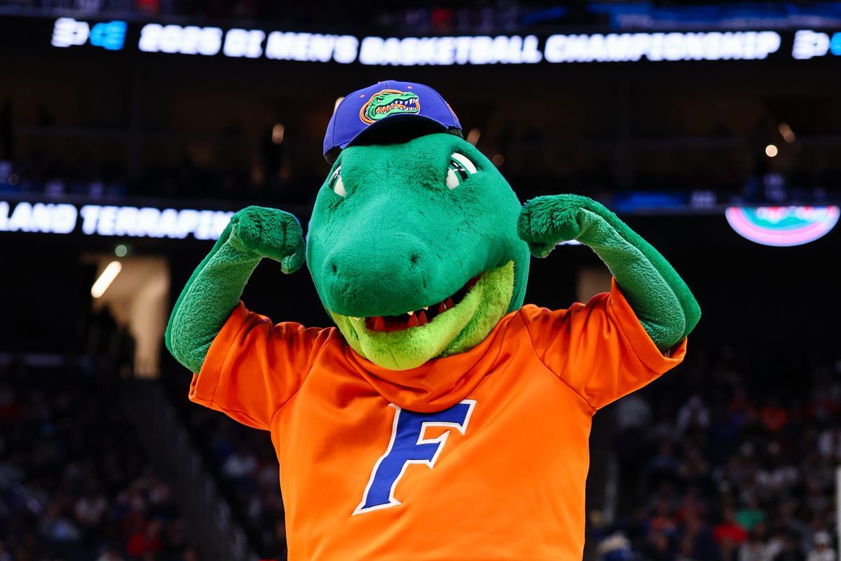 Florida Gators at Marquette Golden Eagles Womens Volleyball
