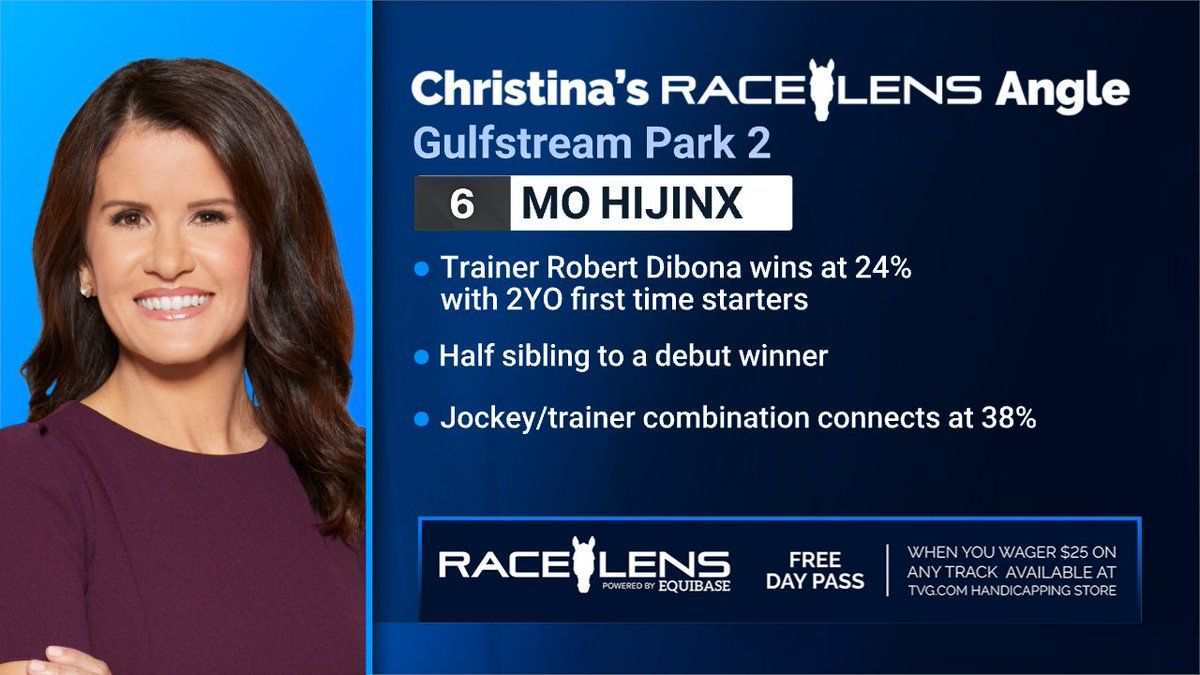 HiJinx - 2 Day Pass