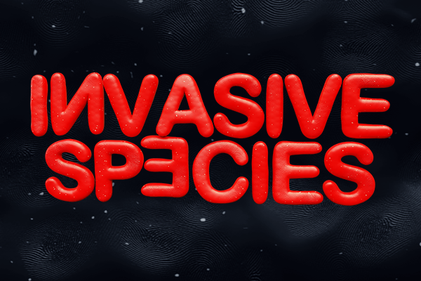 Invasive Species