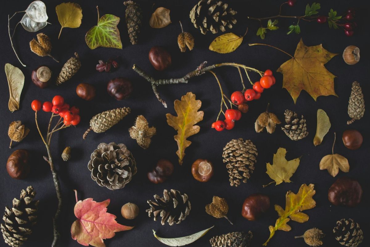 Autumn Wreath Making Workshop at Barmoor Hub, Ryton