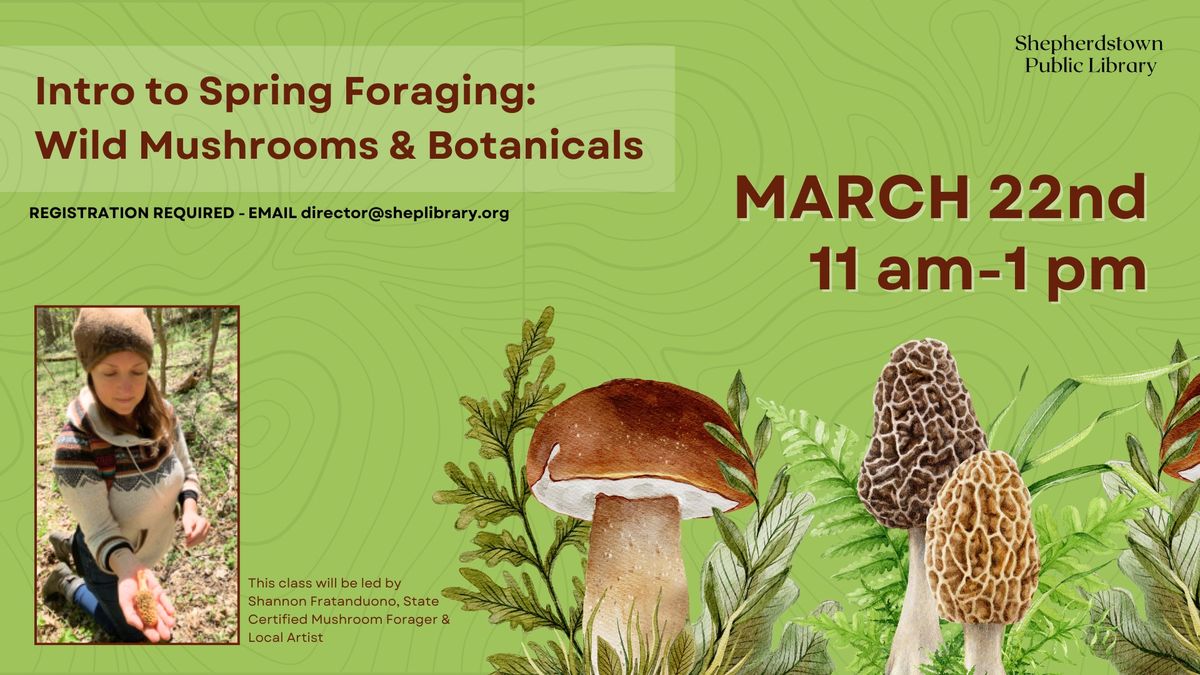 CLASS FULL! Intro to Spring Foraging: Wild Mushrooms & Botanicals