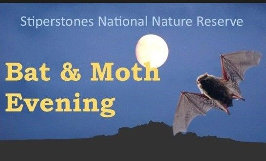 Stiperstones Bat and Moth evening