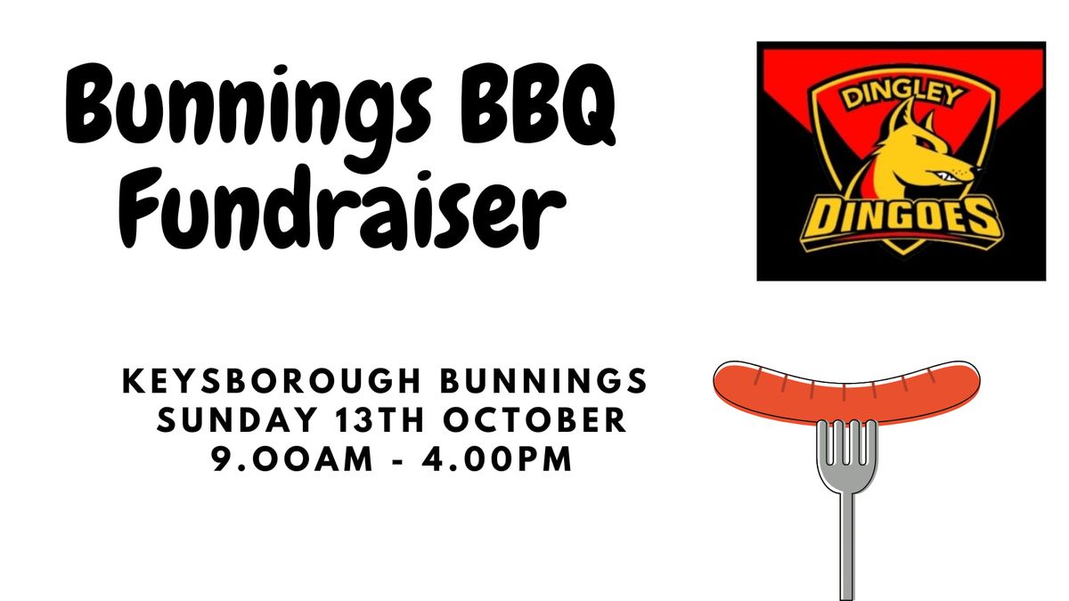 Bunnings BBQ