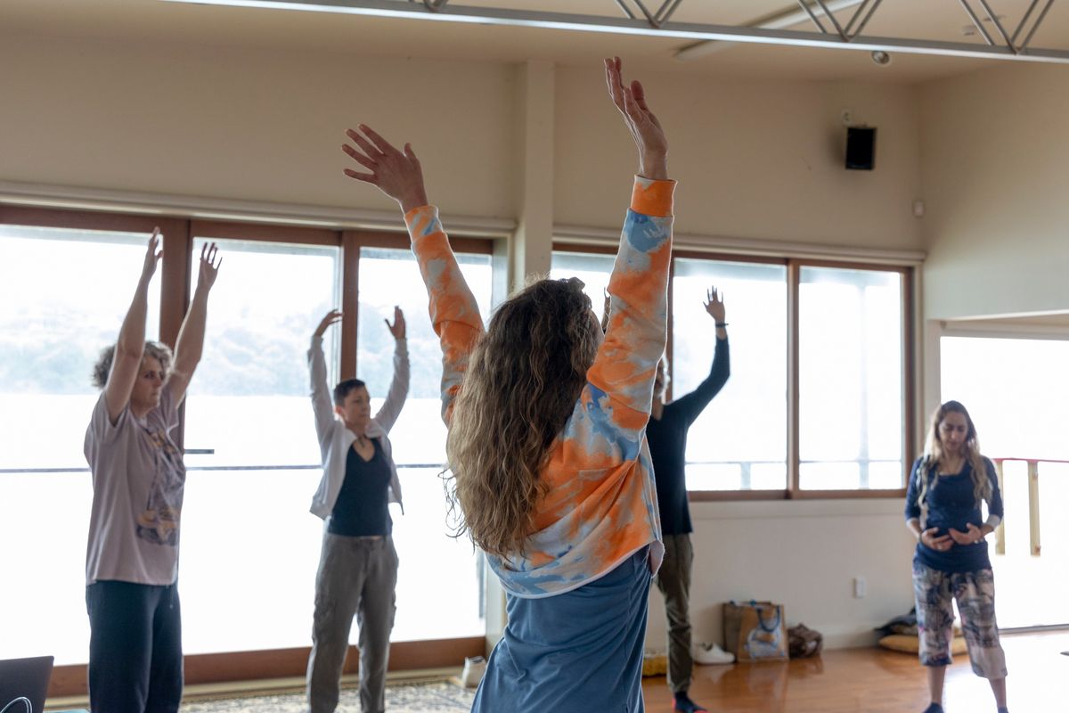 Introduction to Dance Movement Therapy (Auckland, NZ)