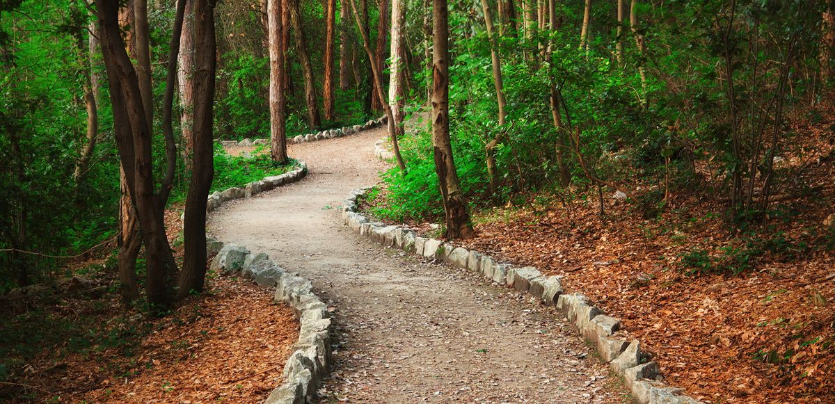 Clearing a Path to a New You 