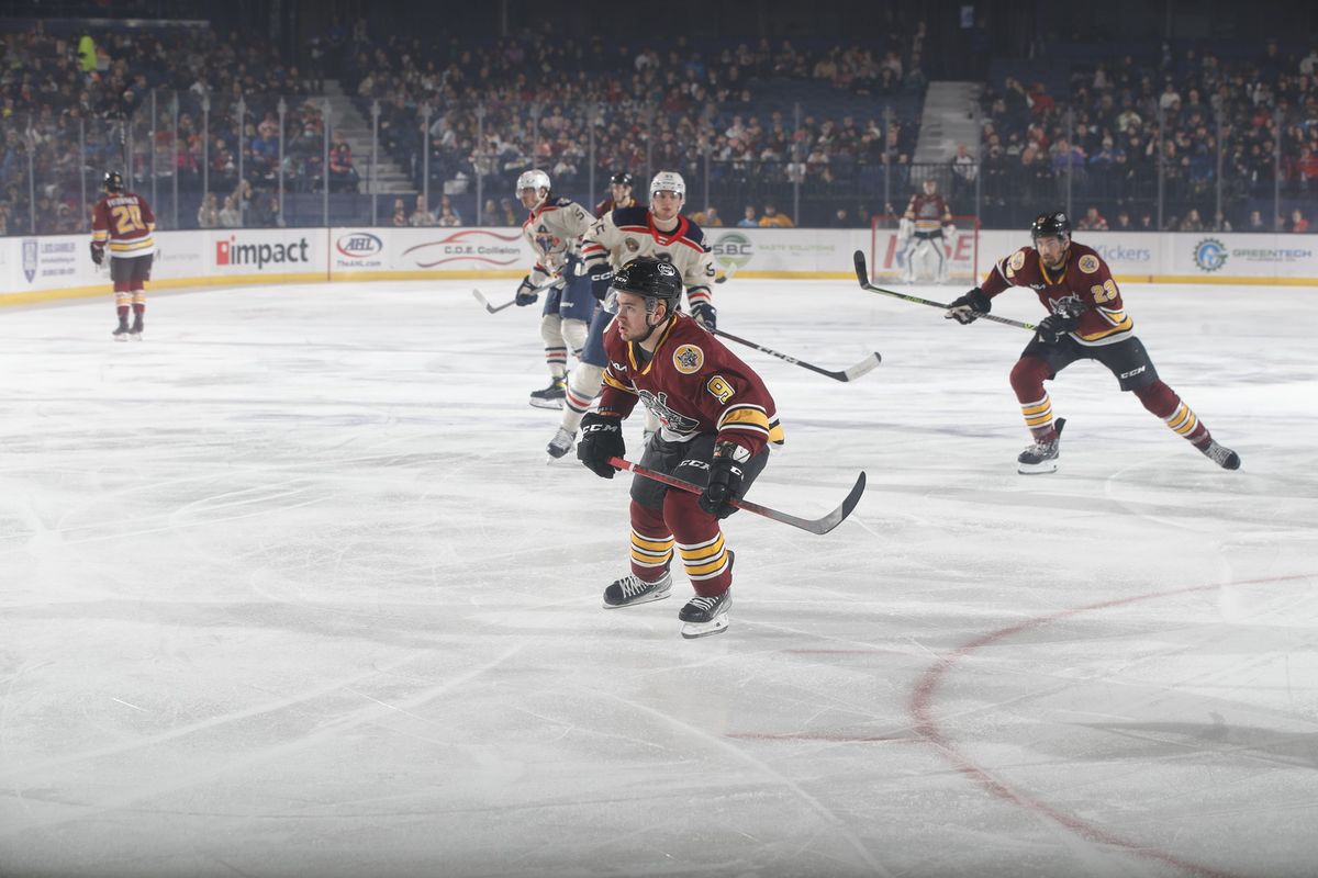 Chicago Wolves vs. Milwaukee Admirals