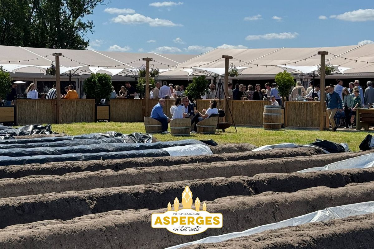 Pop-up restaurant Asperges in het veld Cromvoirt