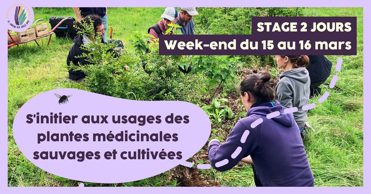 Stage 2 jours : S'initier aux usages des plantes m\u00e9dicinales sauvages et cultiv\u00e9es