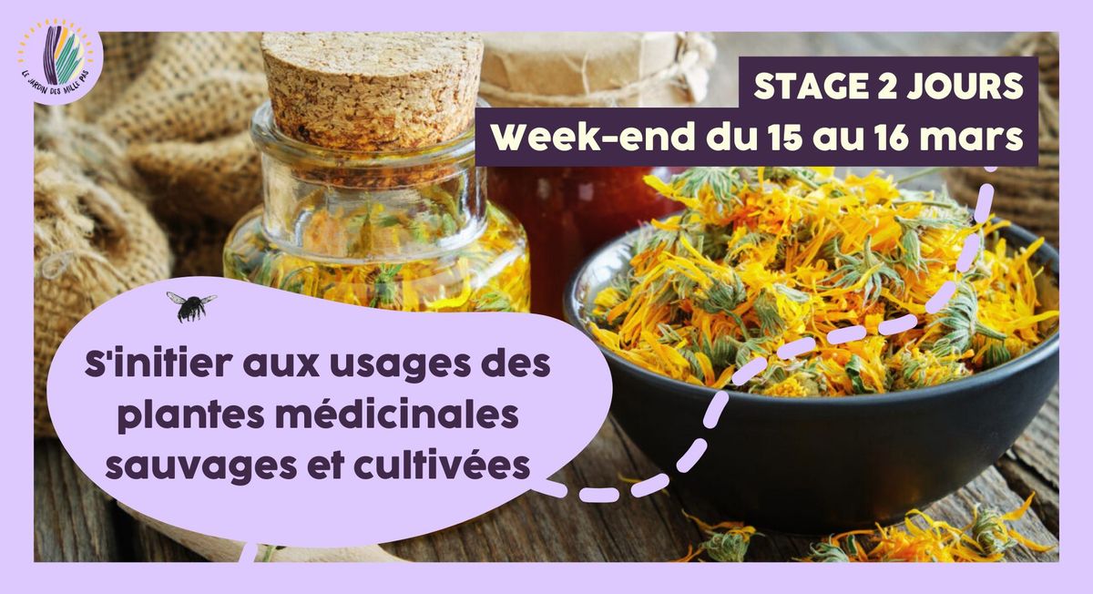 Stage 2 jours : S'initier aux usages des plantes m\u00e9dicinales sauvages et cultiv\u00e9es