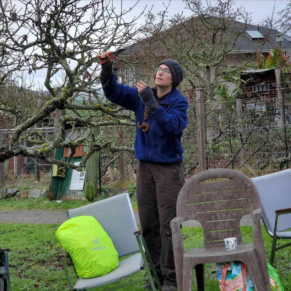 Winter Fruit Tree Pruning